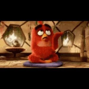 Meet your Posher, Roy